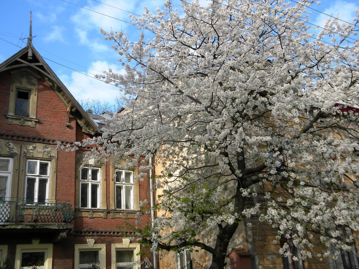 Studios At Anchevskih 3 리비프 외부 사진
