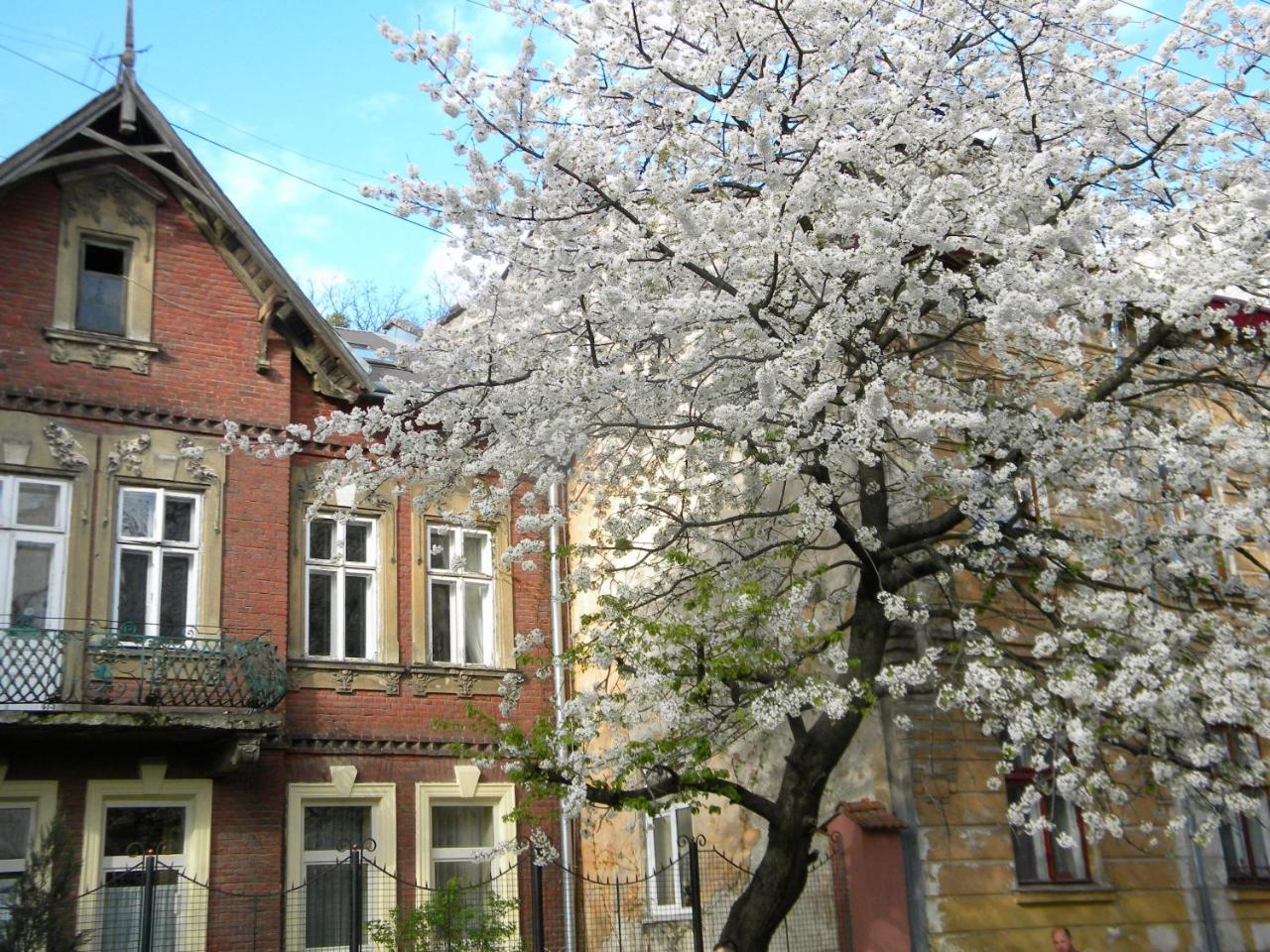 Studios At Anchevskih 3 리비프 외부 사진